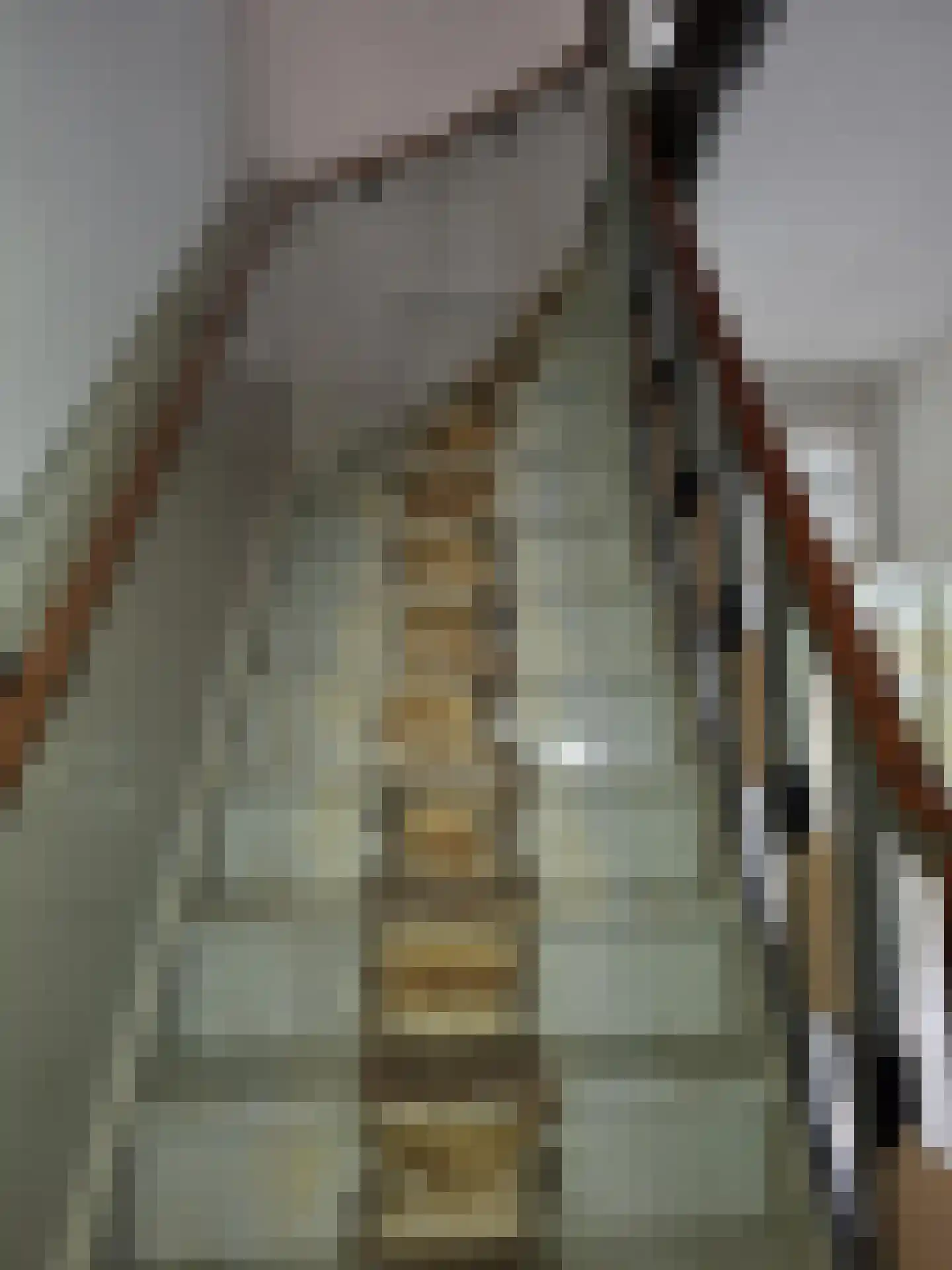 Frank van Borselenstraat 12 B Rotterdam thumbnail 18