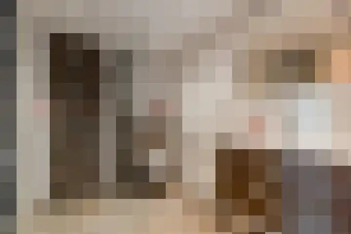 Frank van Borselenstraat 14 Brielle thumbnail 4