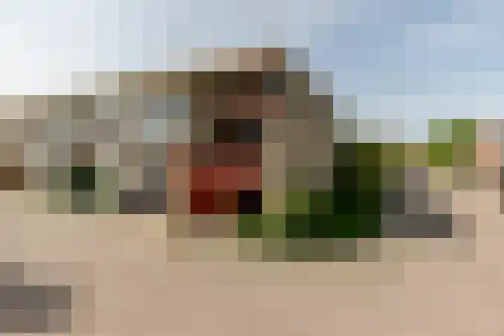 Frank van Borselenstraat 14 Brielle thumbnail 5