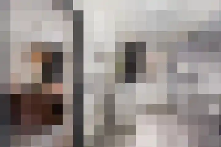 Frank van Borselenstraat 19 Nieuwe-Tonge thumbnail 13