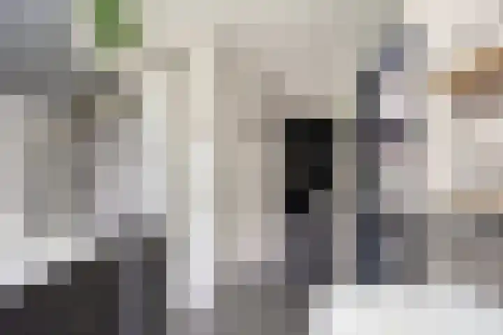 Frank van Borselenstraat 19 Nieuwe-Tonge thumbnail 14