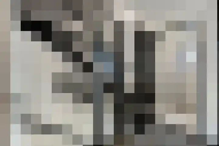 Frank van Borselenstraat 19 Nieuwe-Tonge thumbnail 15