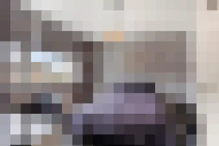 Frank van Borselenstraat 19 Nieuwe-Tonge thumbnail 17