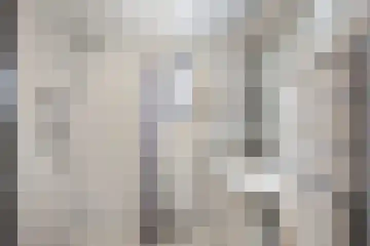 Frank van Borselenstraat 19 Nieuwe-Tonge thumbnail 19