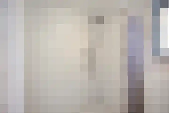Frank van Borselenstraat 19 Nieuwe-Tonge thumbnail 20