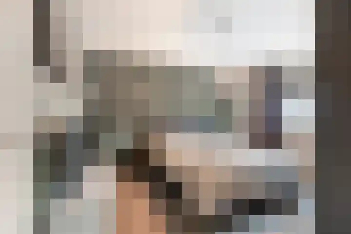 Frank van Borselenstraat 19 Nieuwe-Tonge thumbnail 21