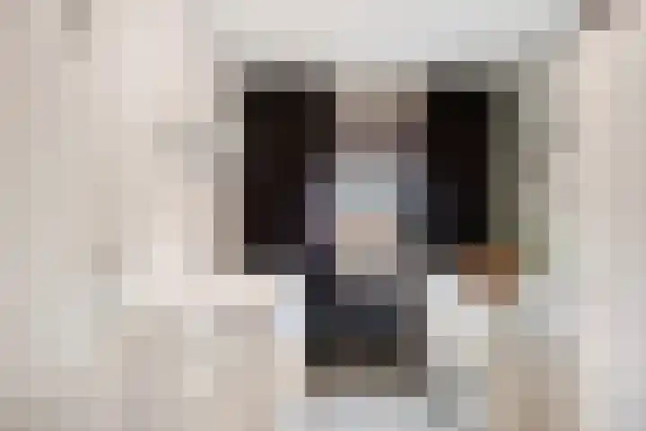 Frank van Borselenstraat 19 Nieuwe-Tonge thumbnail 23