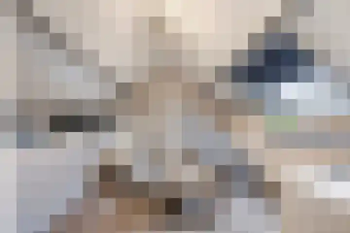 Frank van Borselenstraat 19 Nieuwe-Tonge thumbnail 24