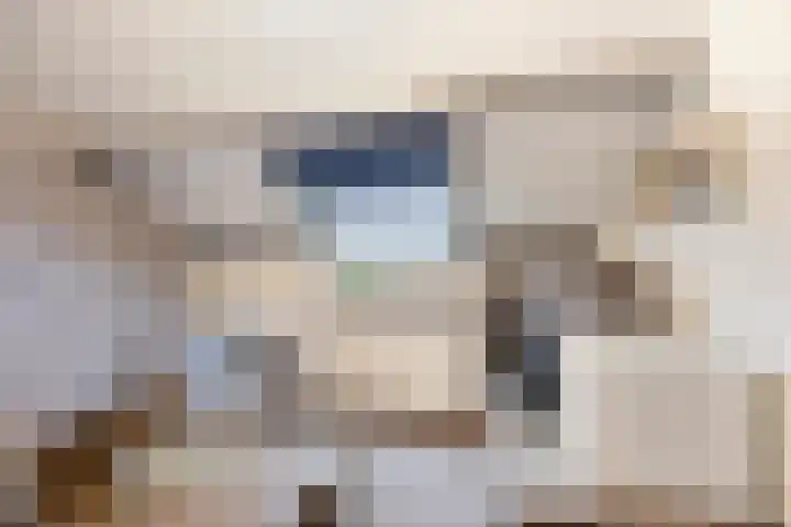 Frank van Borselenstraat 19 Nieuwe-Tonge thumbnail 25