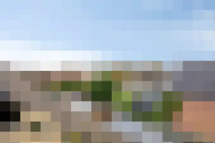 Frank van Borselenstraat 19 Nieuwe-Tonge thumbnail 26