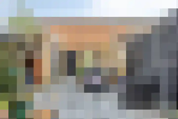 Frank van Borselenstraat 19 Nieuwe-Tonge thumbnail 28