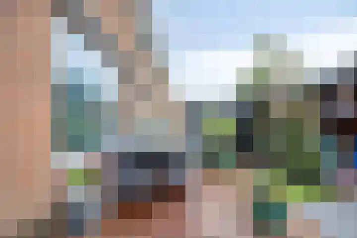 Frank van Borselenstraat 19 Nieuwe-Tonge thumbnail 29