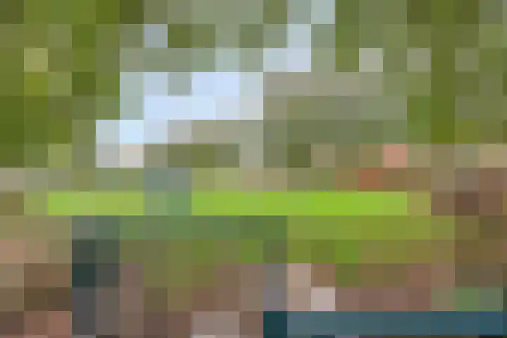 Frank van Borselenstraat 19 Nieuwe-Tonge thumbnail 33
