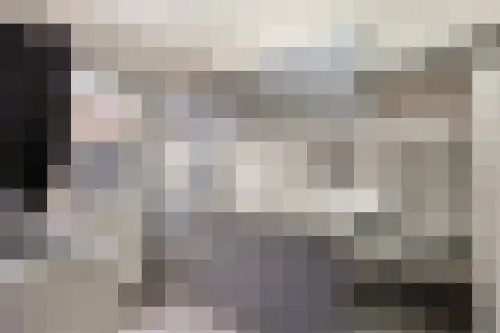Frank van Borselenstraat 19 Nieuwe-Tonge thumbnail 4