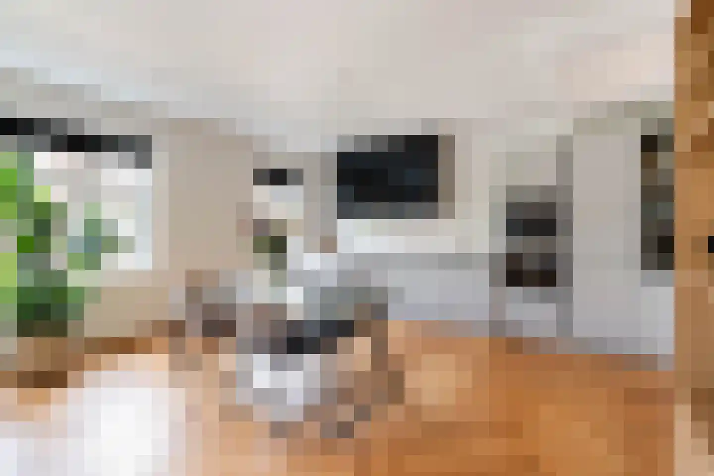 Frank van Borselenstraat 20 A Rotterdam thumbnail 12