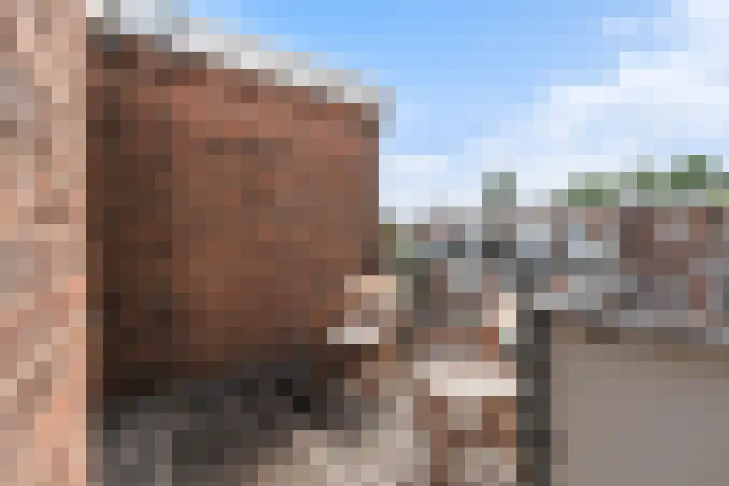 Frank van Borselenstraat 20 A Rotterdam thumbnail 23