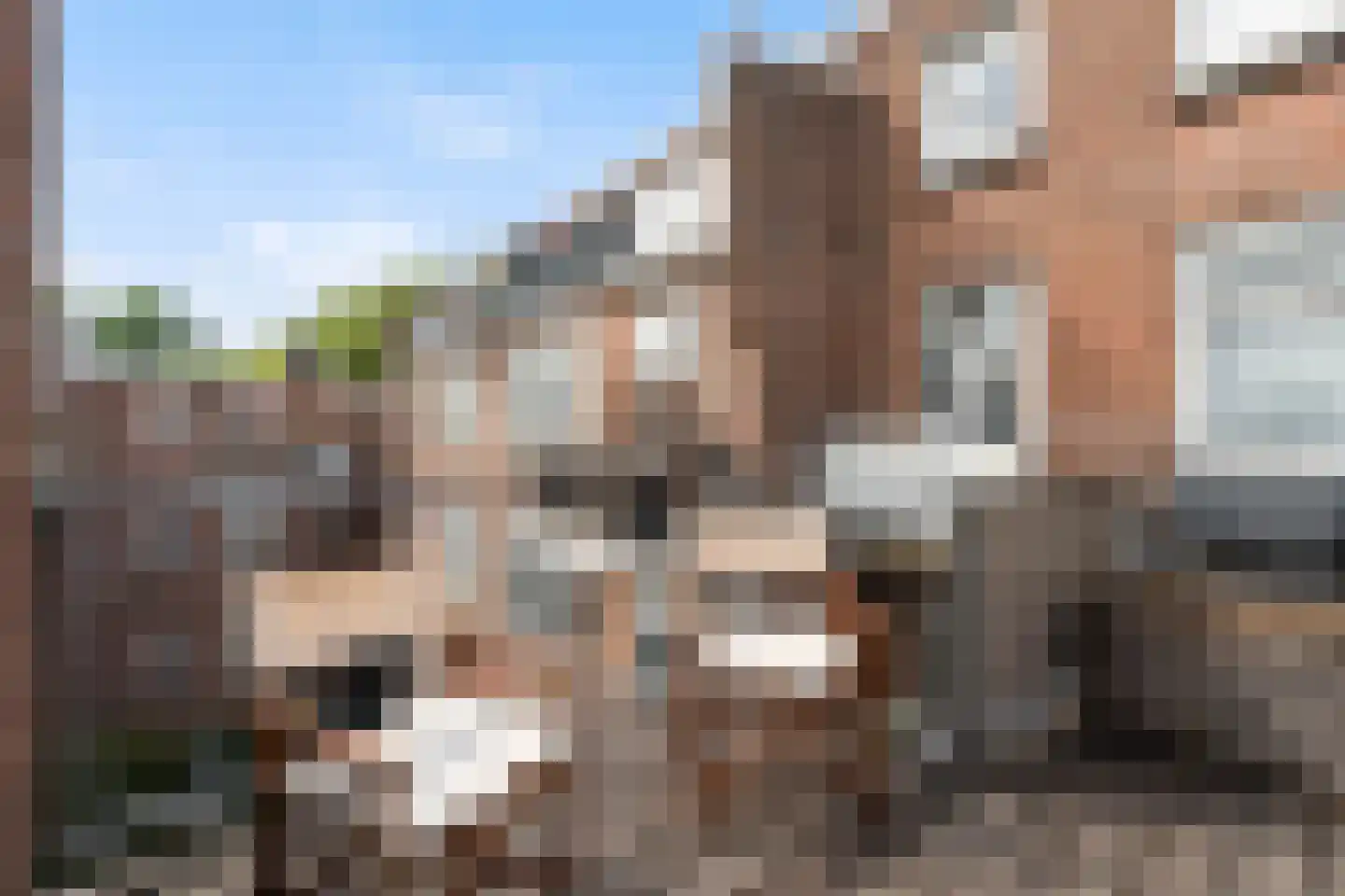 Frank van Borselenstraat 20 A Rotterdam thumbnail 24
