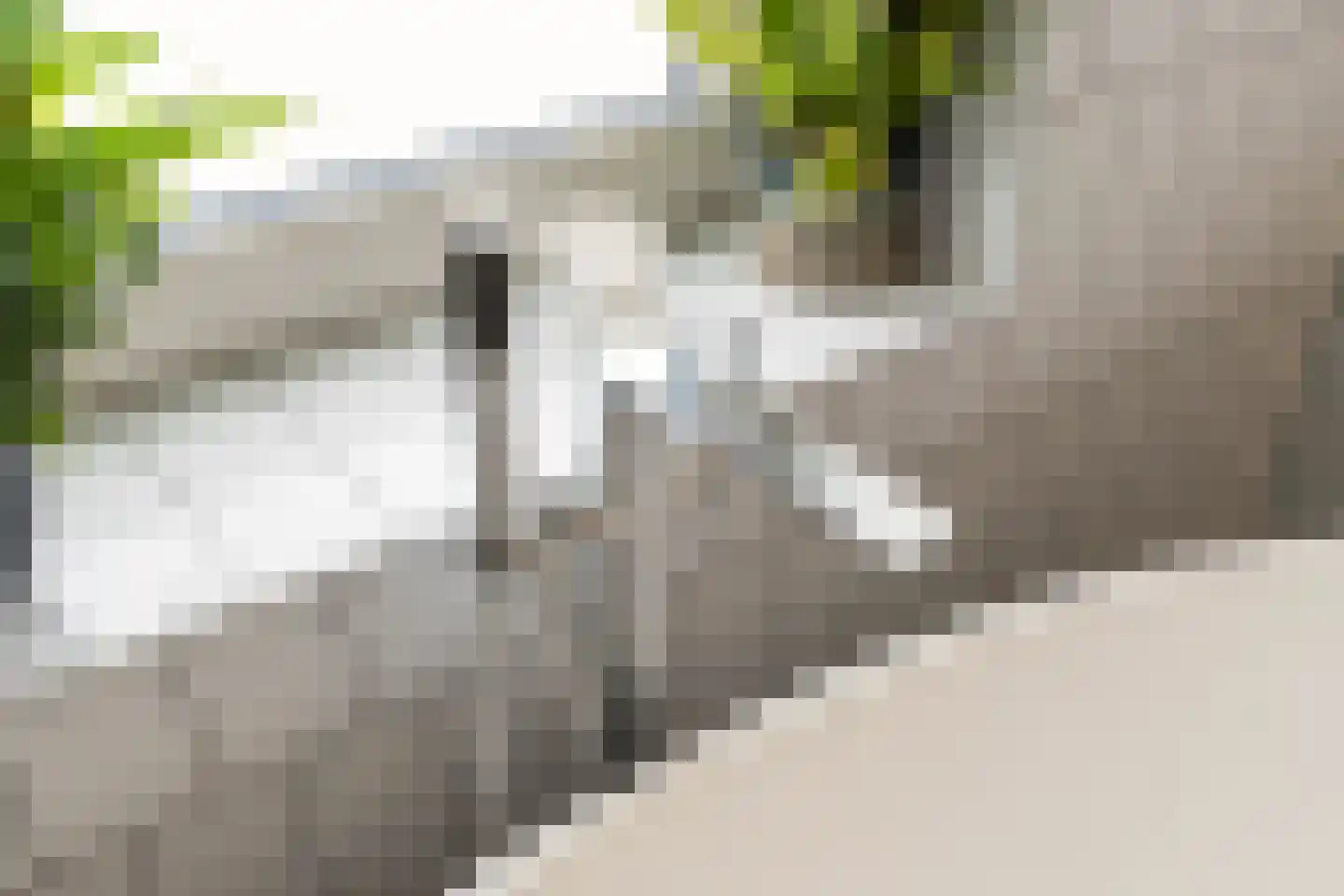 Frank van Borselenstraat 20 A Rotterdam thumbnail 37