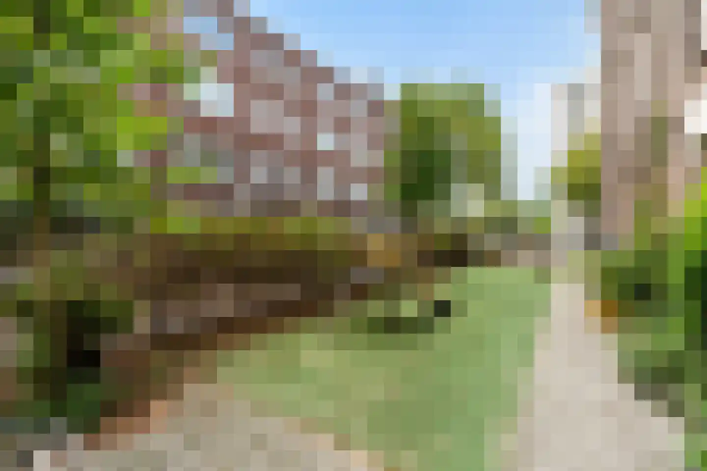 Frank van Borselenstraat 20 A Rotterdam thumbnail 45