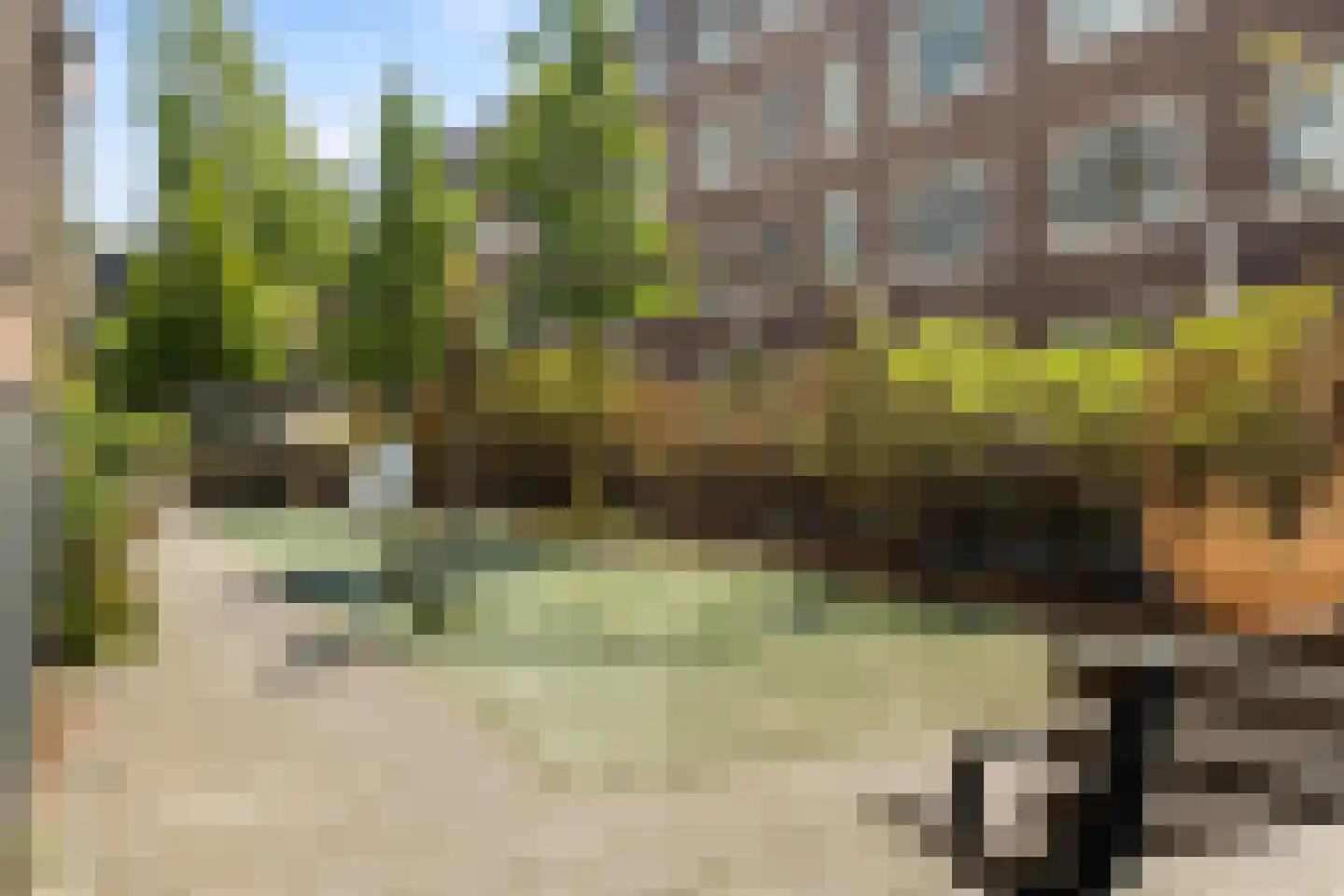 Frank van Borselenstraat 20 A Rotterdam thumbnail 46