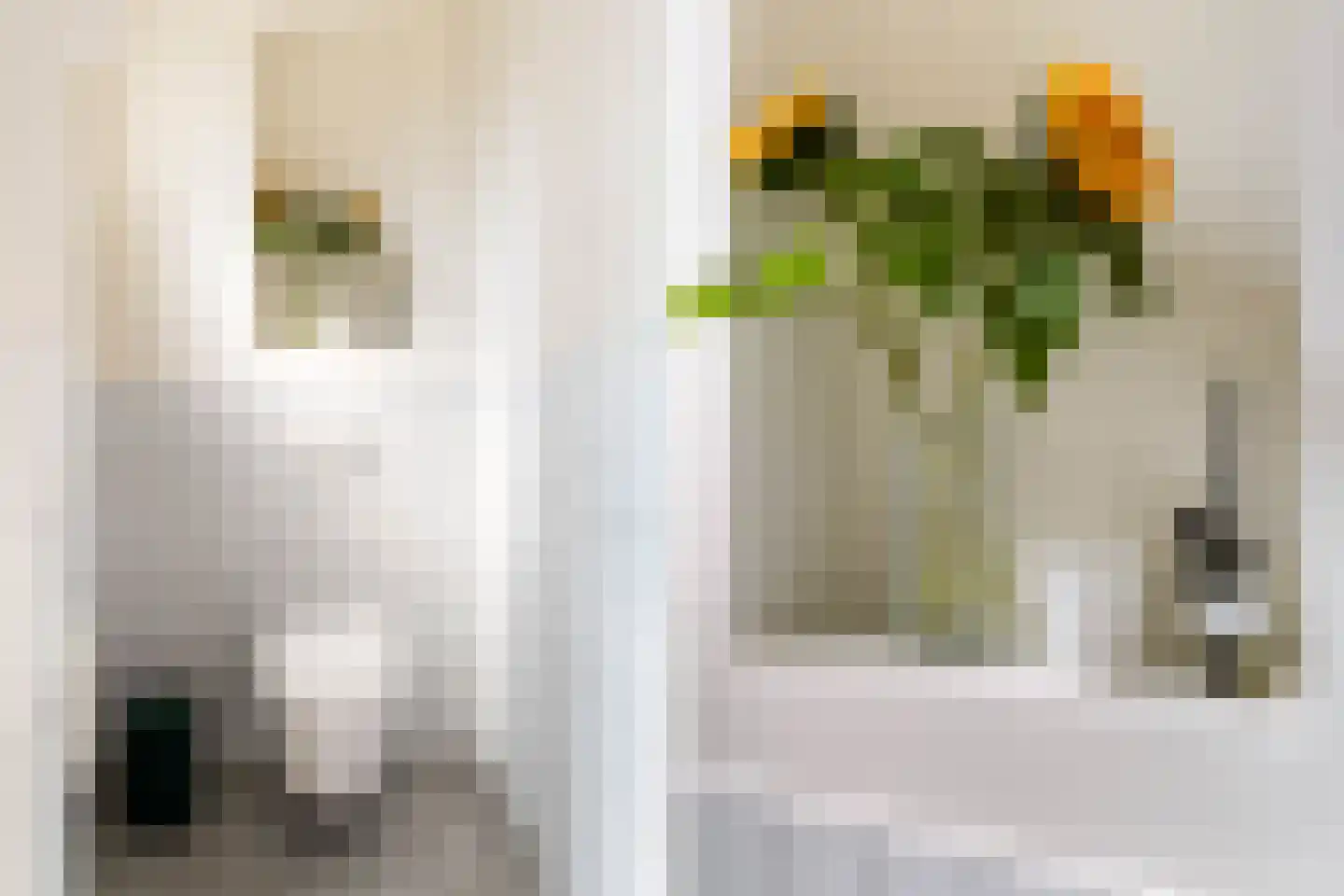 Frank van Borselenstraat 20 A Rotterdam thumbnail 7