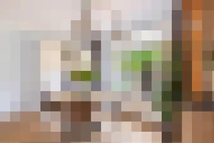 Frank van Borselenstraat 21 Nieuwe-Tonge thumbnail 11