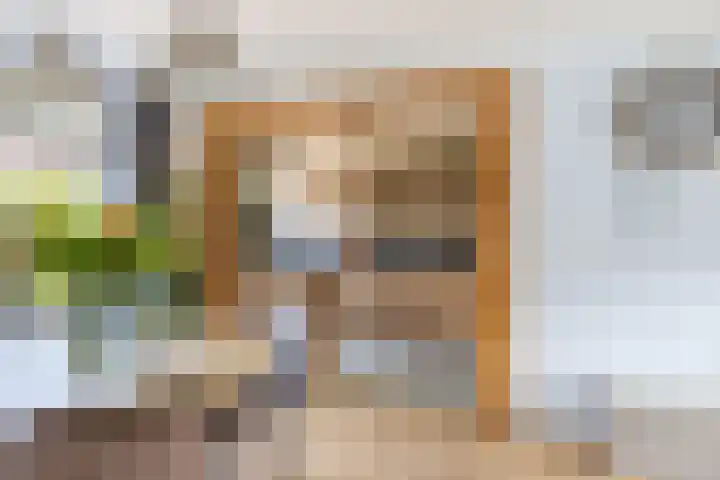 Frank van Borselenstraat 21 Nieuwe-Tonge thumbnail 12