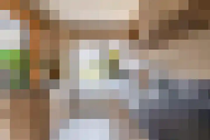 Frank van Borselenstraat 21 Nieuwe-Tonge thumbnail 16
