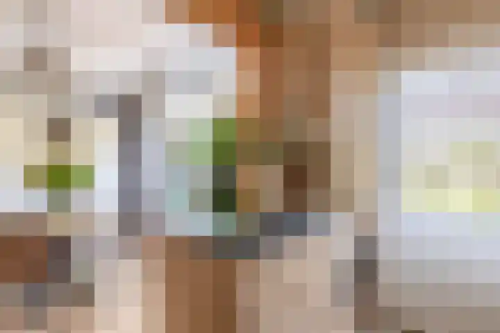 Frank van Borselenstraat 21 Nieuwe-Tonge thumbnail 17