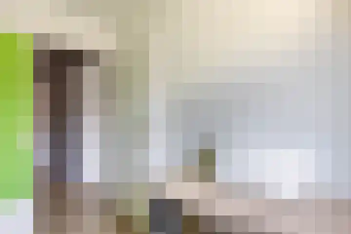 Frank van Borselenstraat 21 Nieuwe-Tonge thumbnail 24