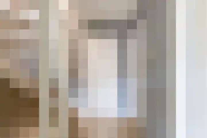 Frank van Borselenstraat 21 Nieuwe-Tonge thumbnail 27