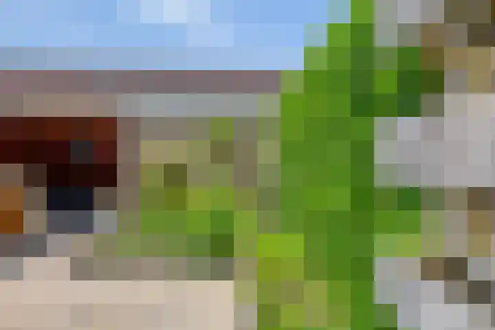 Frank van Borselenstraat 21 Nieuwe-Tonge thumbnail 32
