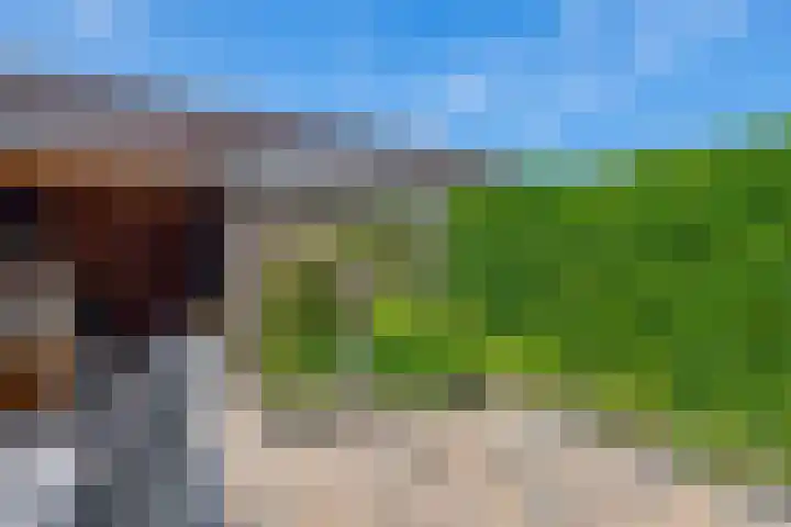 Frank van Borselenstraat 21 Nieuwe-Tonge thumbnail 33