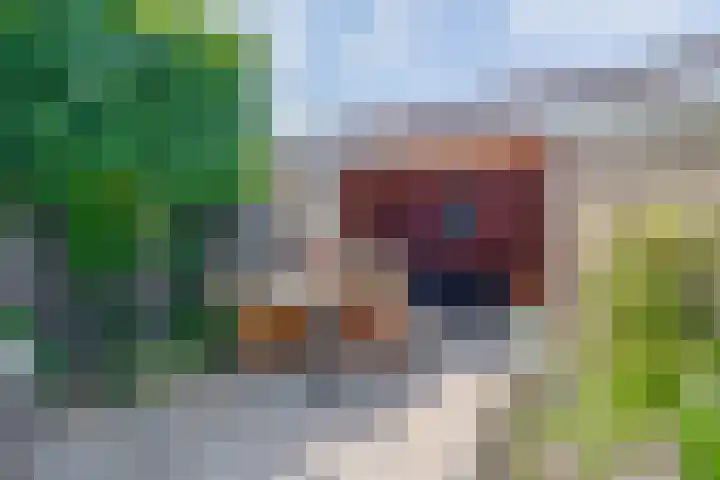 Frank van Borselenstraat 21 Nieuwe-Tonge thumbnail 34