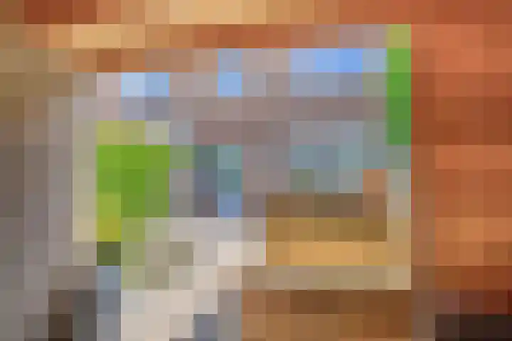 Frank van Borselenstraat 21 Nieuwe-Tonge thumbnail 36