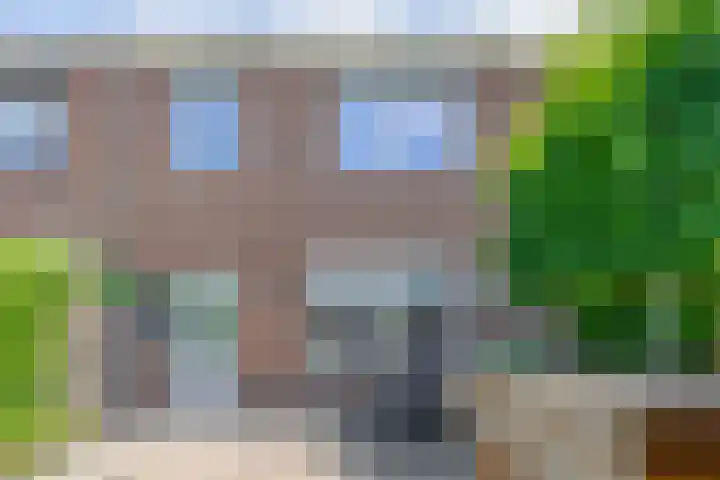 Frank van Borselenstraat 21 Nieuwe-Tonge thumbnail 37