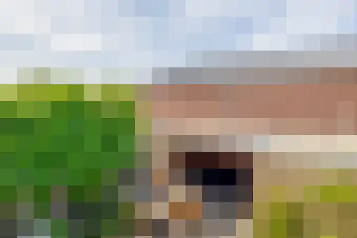 Frank van Borselenstraat 21 Nieuwe-Tonge thumbnail 38