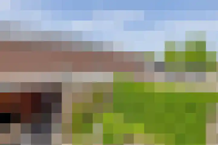 Frank van Borselenstraat 21 Nieuwe-Tonge thumbnail 39