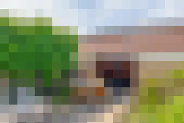 Frank van Borselenstraat 21 Nieuwe-Tonge thumbnail 40
