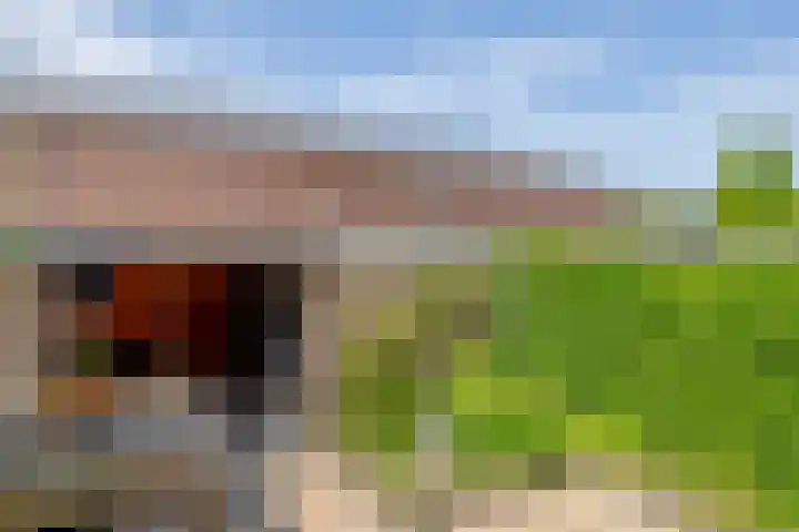Frank van Borselenstraat 21 Nieuwe-Tonge thumbnail 41