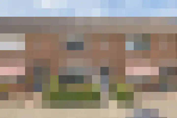 Frank van Borselenstraat 21 Nieuwe-Tonge thumbnail 52