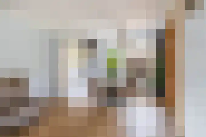 Frank van Borselenstraat 21 Nieuwe-Tonge thumbnail 9