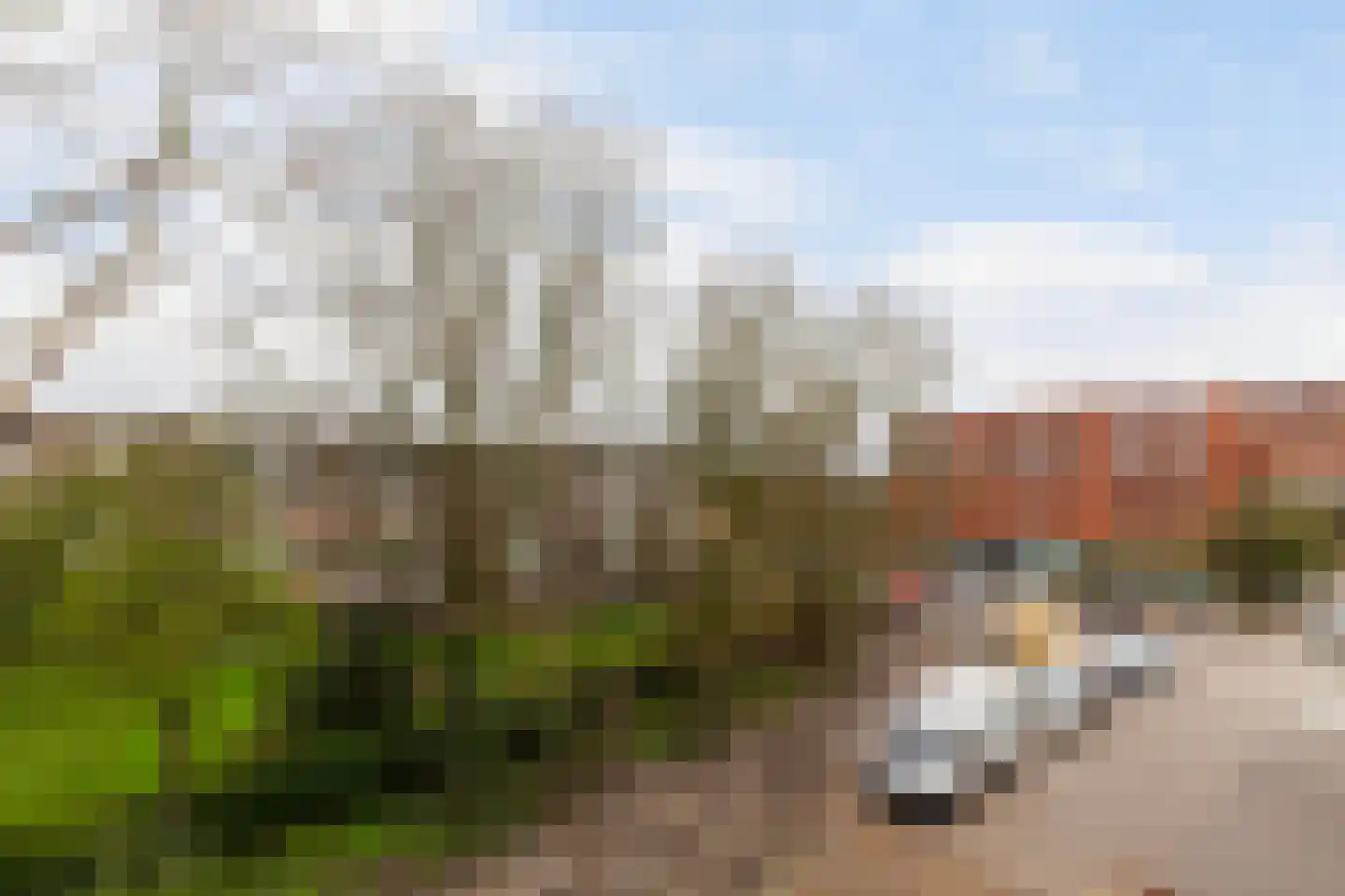 Frank van Borselenstraat 218 Vlaardingen thumbnail 40
