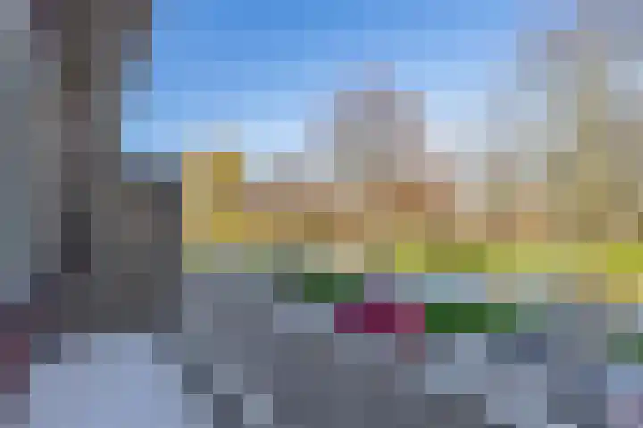 Frank van Borselenstraat 24 Brielle thumbnail 16