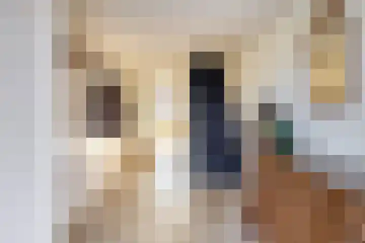 Frank van Borselenstraat 24 Brielle thumbnail 6