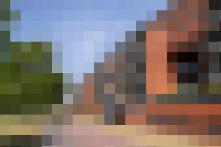 Frank van Borselenstraat 29 C Vlaardingen thumbnail 27