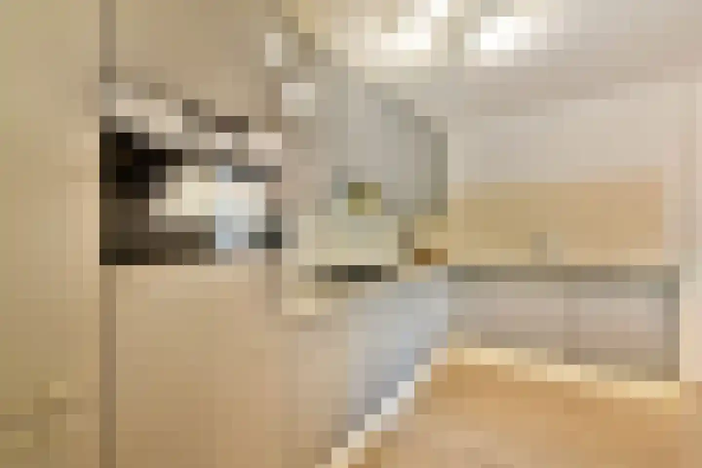 Frank van Borselenstraat 3 B Vlaardingen thumbnail 9