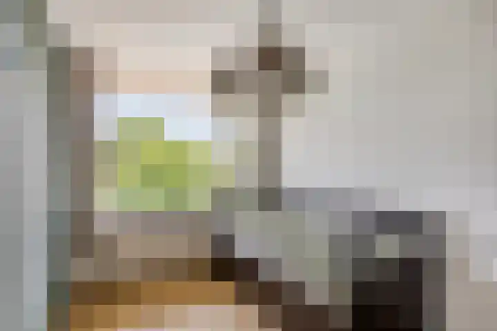 Frank van Borselenstraat 35 Brielle thumbnail 25