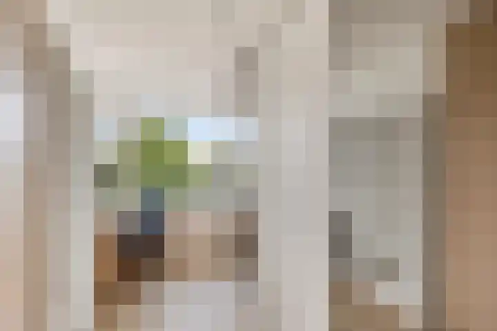 Frank van Borselenstraat 35 Brielle thumbnail 27