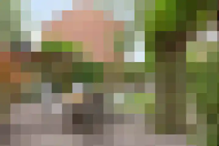 Frank van Borselenstraat 35 Brielle thumbnail 30